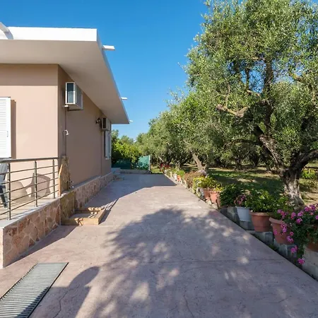 Mary's Olive Grove House By 