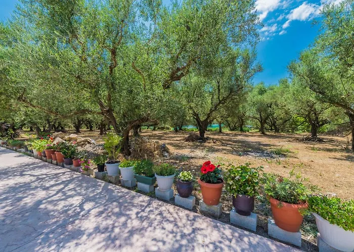 Σπίτι διακοπών Mary's Olive Grove House By 