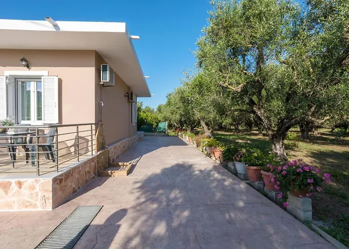 Mary's Olive Grove House By 